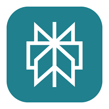 Logo Perplexity AI